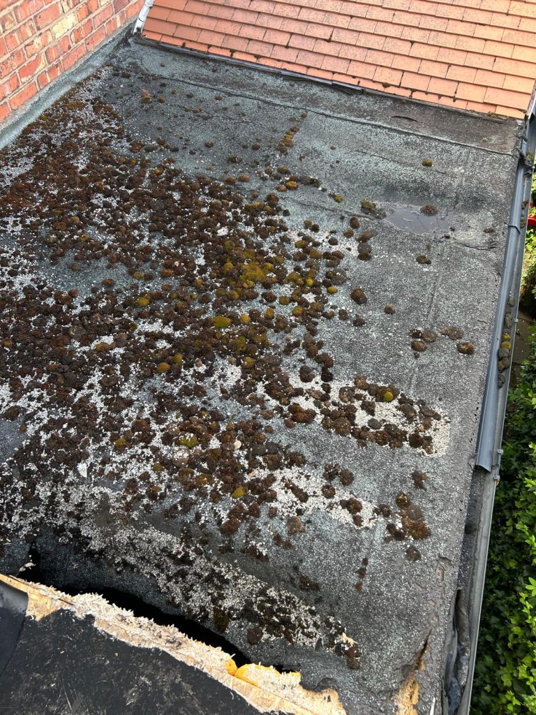 roofing experts altrincham